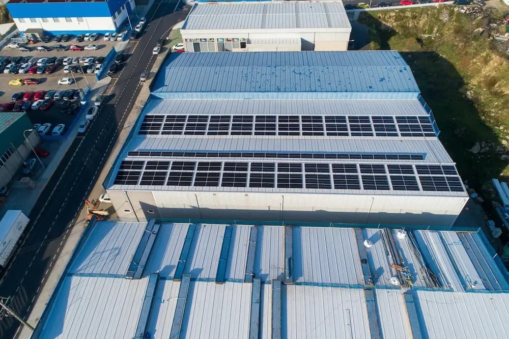 filosofia seto artificial natura